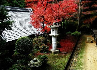 小美丽的花园，日本