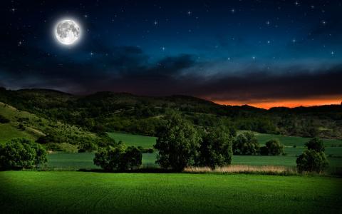 夜晚，月亮，天空星星，树木，草地