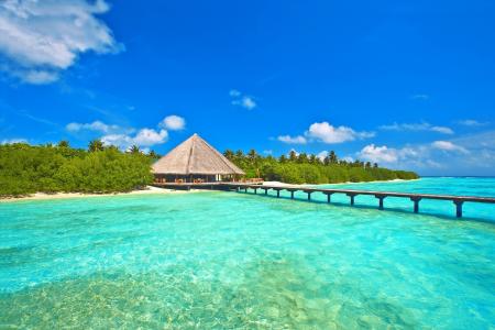 自然，岛，马尔代夫，美丽，丛林，家和舒适