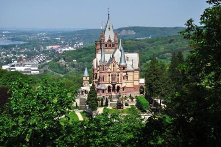 德国，城堡，宫殿，性质，城市，森林，天空，树木