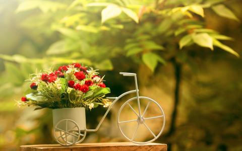 玫瑰，鲜花，自行车，背景