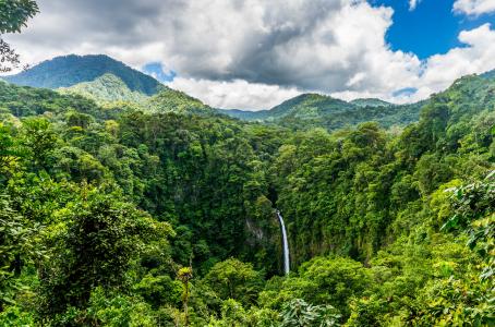 哥斯达黎加，瀑布，绿化，自然