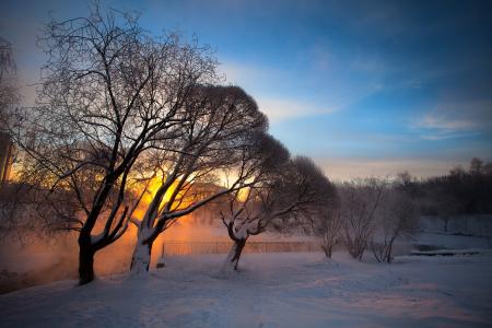 冬天，日出，太阳，树木，雪，河，蒸汽