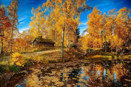 性质，秋季，森林，房屋，美丽，池塘