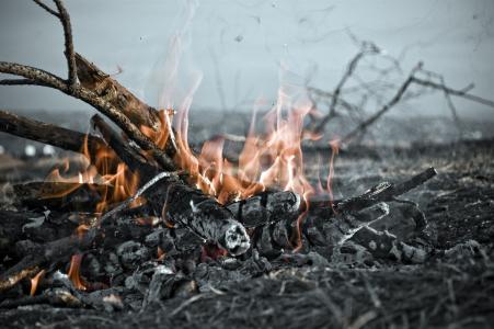 篝火，煤炭，树枝，火焰，灰烬，烟，火，树