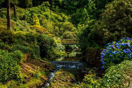 英国，公园，河，瀑布，桥，灌木，Bodnant花园威尔士，性质