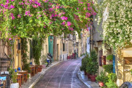 希腊，鲜花，春天，城市，街道