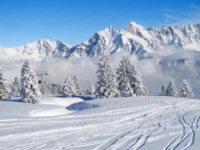 山，冬天，美丽，冬季度假胜地，山，雪，森林