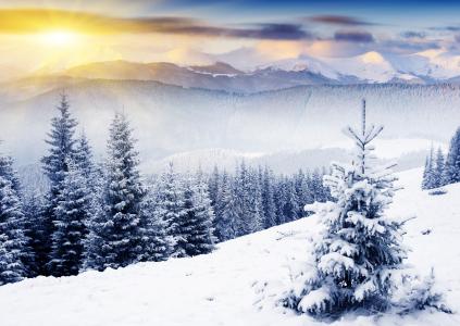 自然，冬天，山，树，雪，太阳光线，自然，冬天，山，树，雪，阳光