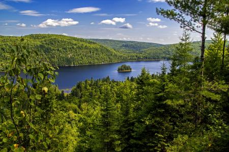 自然，加拿大，国家公园，森林，湖，小岛