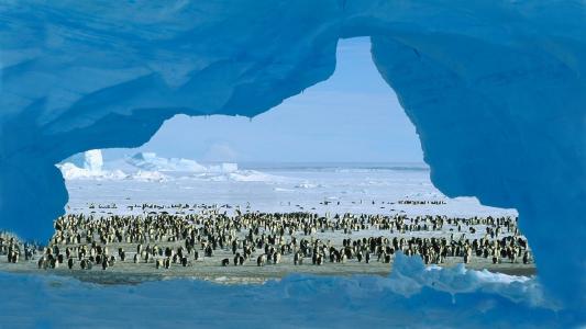 企鹅，稳定，冰，达尔，水平线，冷冻