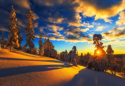 冬天，性质，森林，雪，光，太阳，美丽