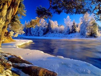 冬天，白霜，树木，河流