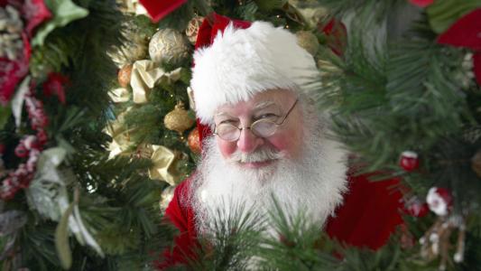 假期，新的一年，圣诞老人，圣诞老人，心情，微笑，树，球，装饰品，童年
