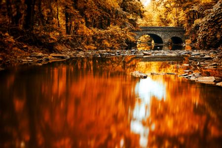 桥，河，森林，秋天