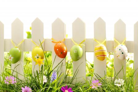 春天，草，花，鸡蛋，性质，复活节