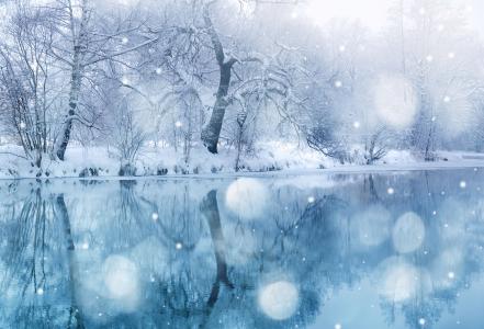 冬天，池塘，雪，树，景观