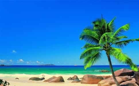 夏天，棕榈，马尔代夫，岛屿，石头，海洋，天堂，美丽