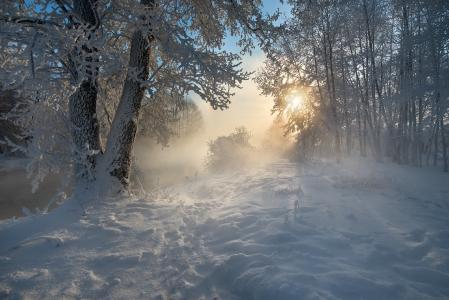 参观童话故事，冬季森林，NikonZoom
