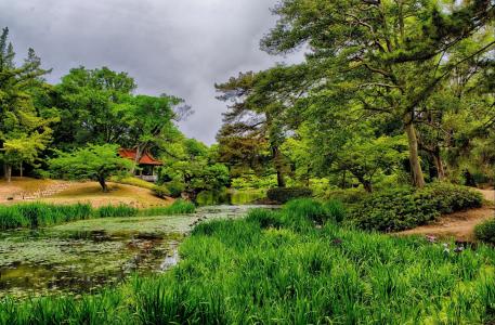 日本的高松Ritsurin花园，自然，公园，草地，树木，池塘
