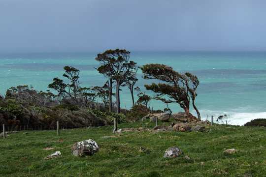 新西兰南岛自然风光图片