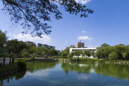 台湾大学景物图片