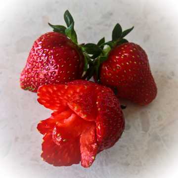 迷人嫣红草莓图片