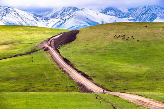 新疆喀拉峻草场风光图片