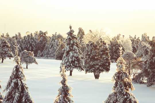加拿大魁克北雪景图片