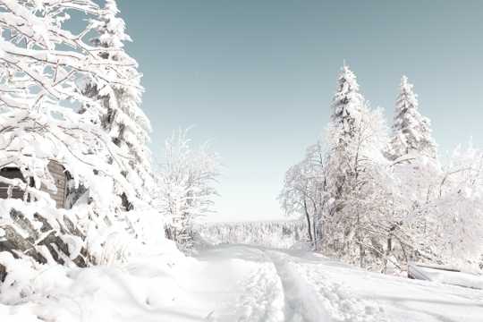 银装素裹冬日雪景图片