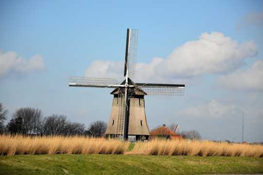 草原荷兰风车图片