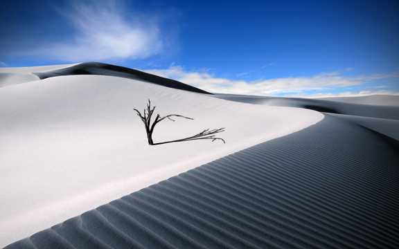 蓝天下的大漠景象图片