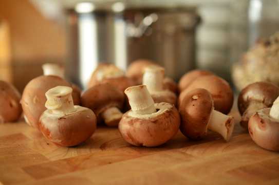 可食用蘑菇图片