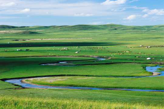 内蒙古大草场图片