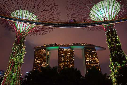 新加坡滨海湾花园景象图片