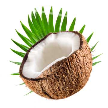 切开的椰子高清图片