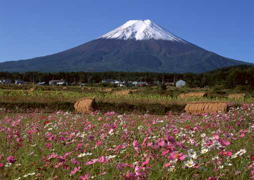 日本富士山春日景象图片