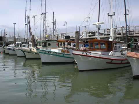 美国旧金山渔人码头景象图片