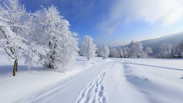 暴雪纷飞的冬日美景图片