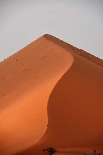 荒漠沙堆特写