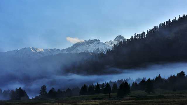 西藏鲁朗景色图片