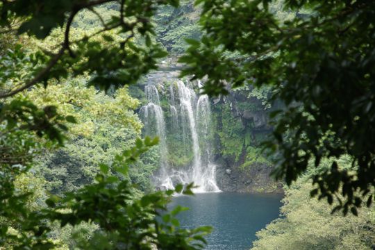 韩国济州岛天地渊瀑布图片
