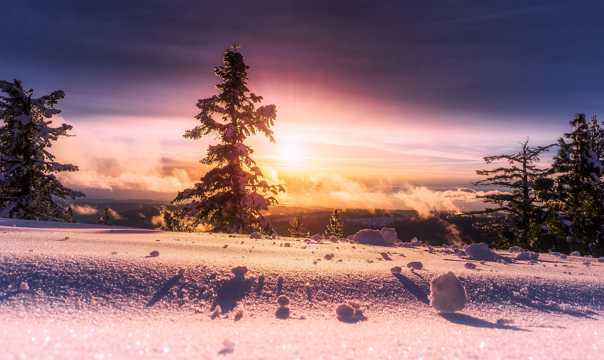 冬季朝阳图片