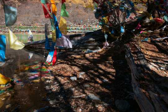 西藏卓玛拉措景物图片
