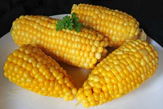 食用黄玉米图片