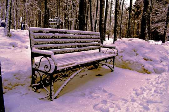 冬天雪地座椅积雪图片