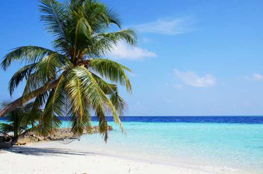 浪漫的马尔代夫海岸景色图片