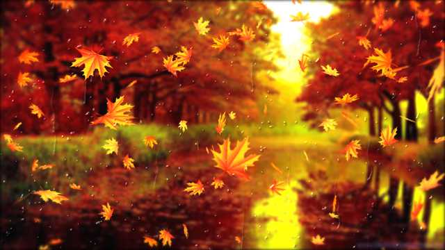 秋日黄叶唯美光景图片