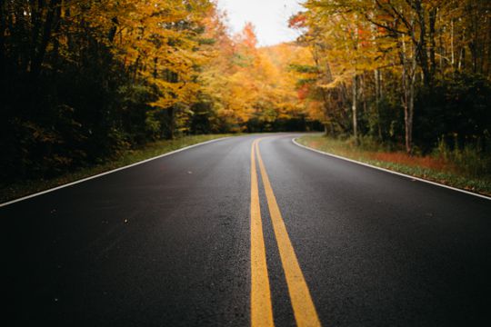 秋天森林公路景致图片
