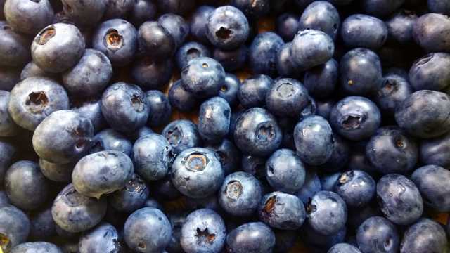 营养丰富抗氧化呵护视力的蓝莓图片
